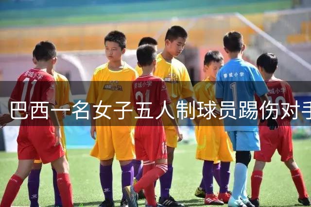 巴西一名女子五人制球员踢伤对手头部并挥拳攻击，遭禁赛五年