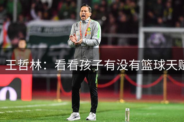 王哲林：看看孩子有没有篮球天赋 如果有天赋可以完成我的遗憾